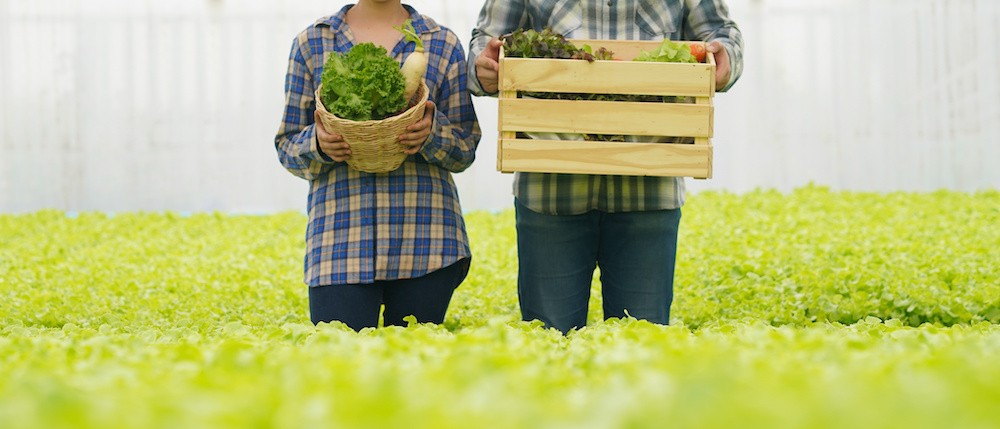 AdobeStock_foodsupplychain