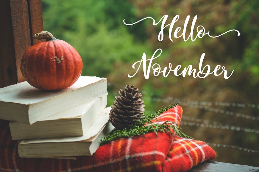 AdobeStock_HelloNovember