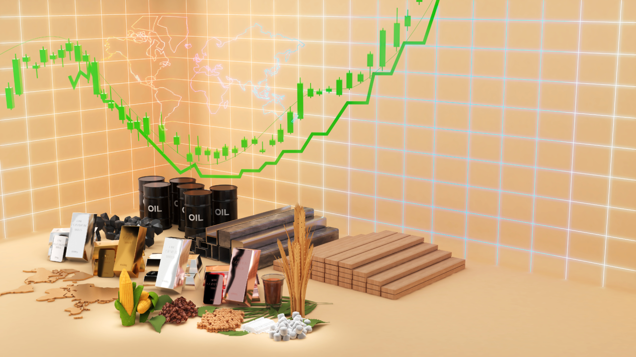 Commodity Prices – 2024 & 2025 Outlook