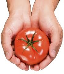 Tomato, Tomato… Analysis, Analytics?